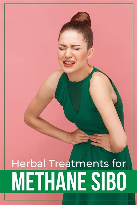 See More How to Treat SIBO Naturally 12 Best Herbal Remedies . . How i cured sibo naturally